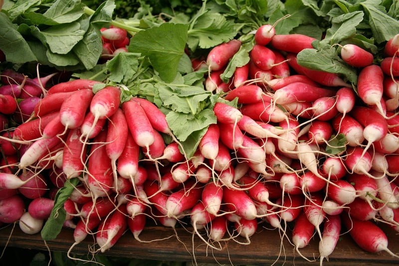 Vegetable Patch